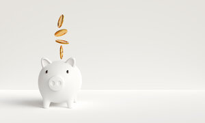 iStock-1433178476.jpg - Midnight Studio | i Stock
